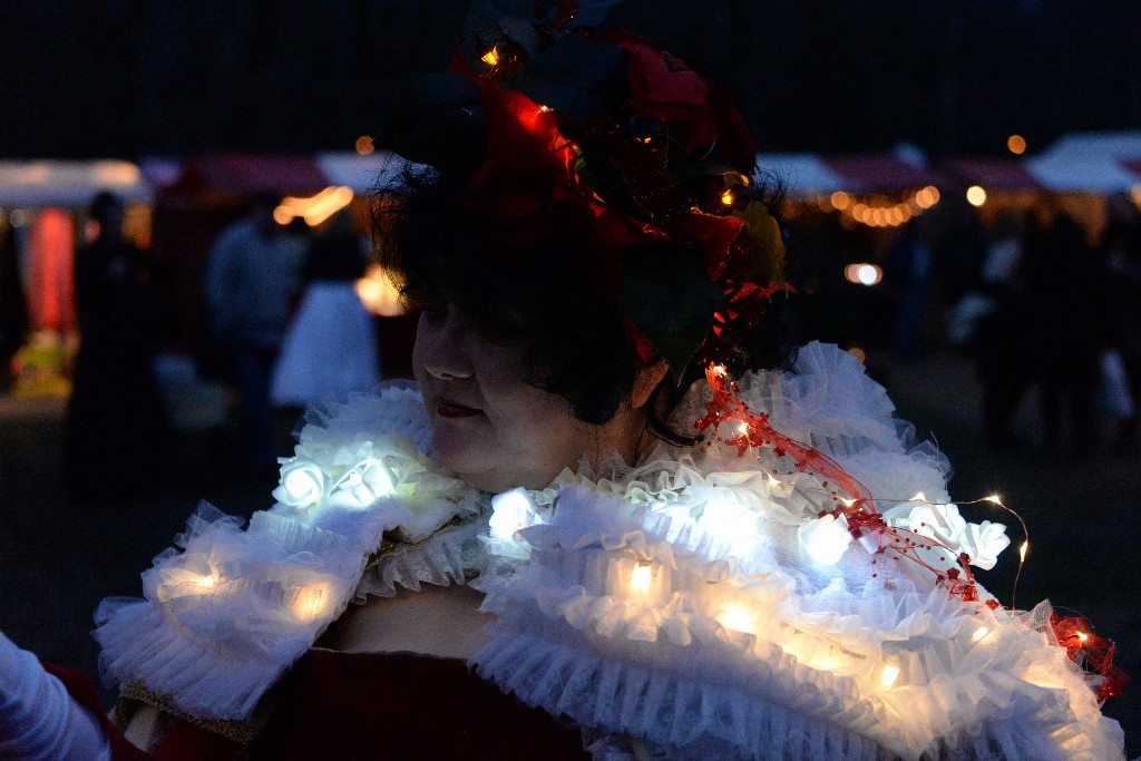 ../Images/Castlefest Wintereditie 2015 zaterdag 127.jpg